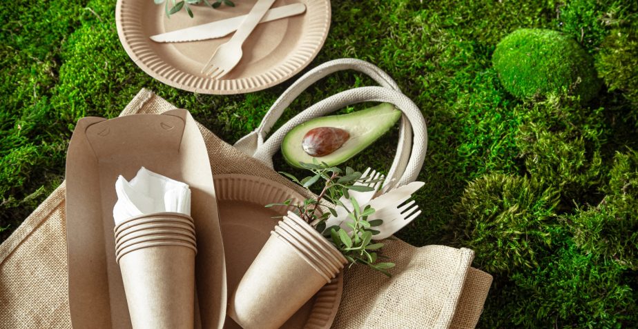 Eco-Friendly Product Lines: Profitable and Sustainable Ventures for Teens